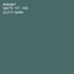 #496B67 - Cutty Sark Color Image